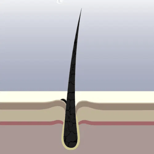 Veganic Haar Groei Boost Olie