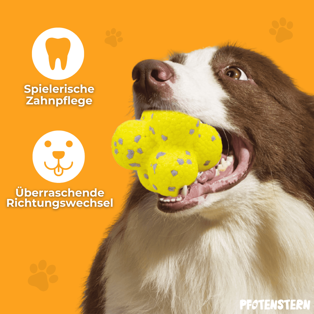 WoefWonder: Hondenspeelgoed Plezier 1+1 gratis