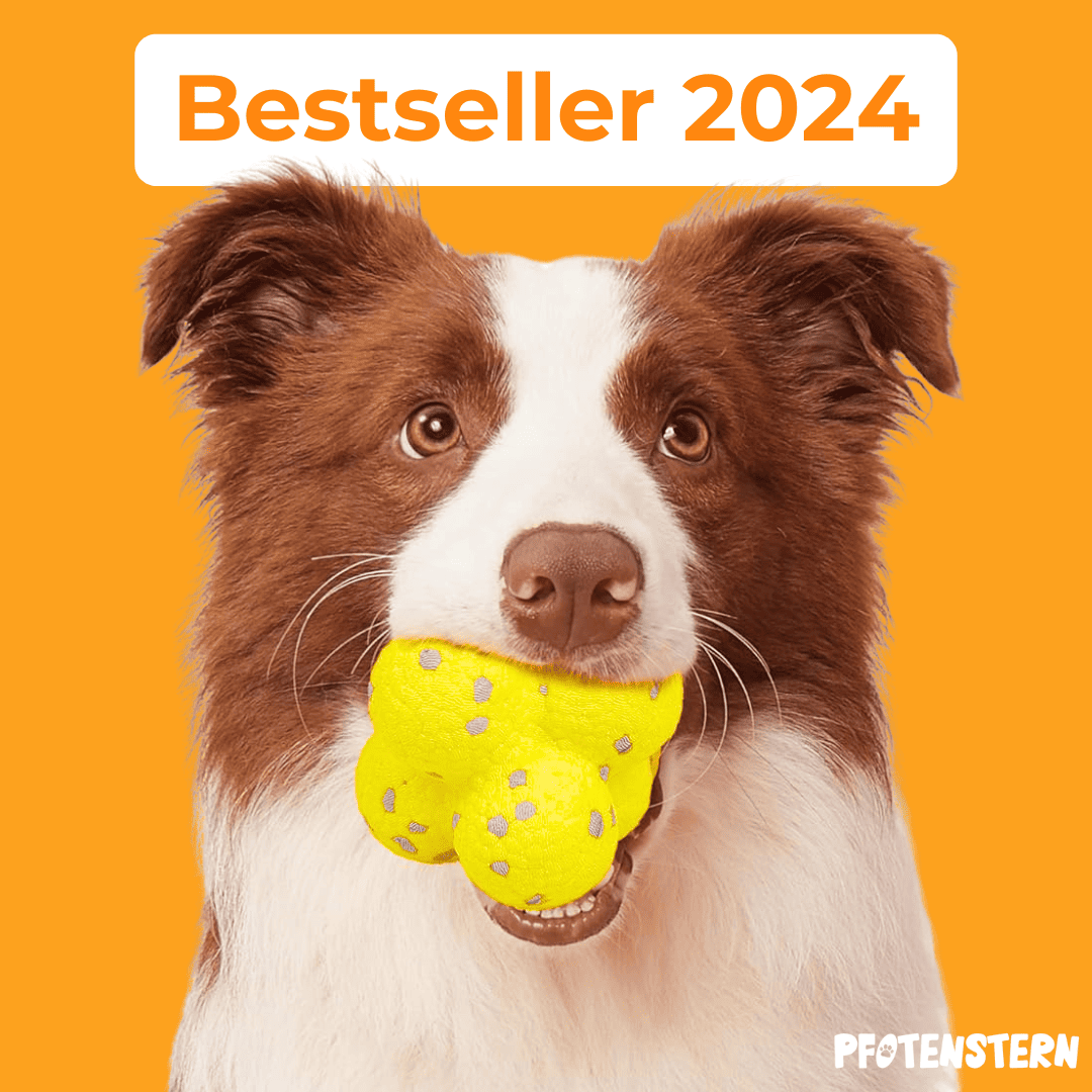 WoefWonder: Hondenspeelgoed Plezier 1+1 gratis