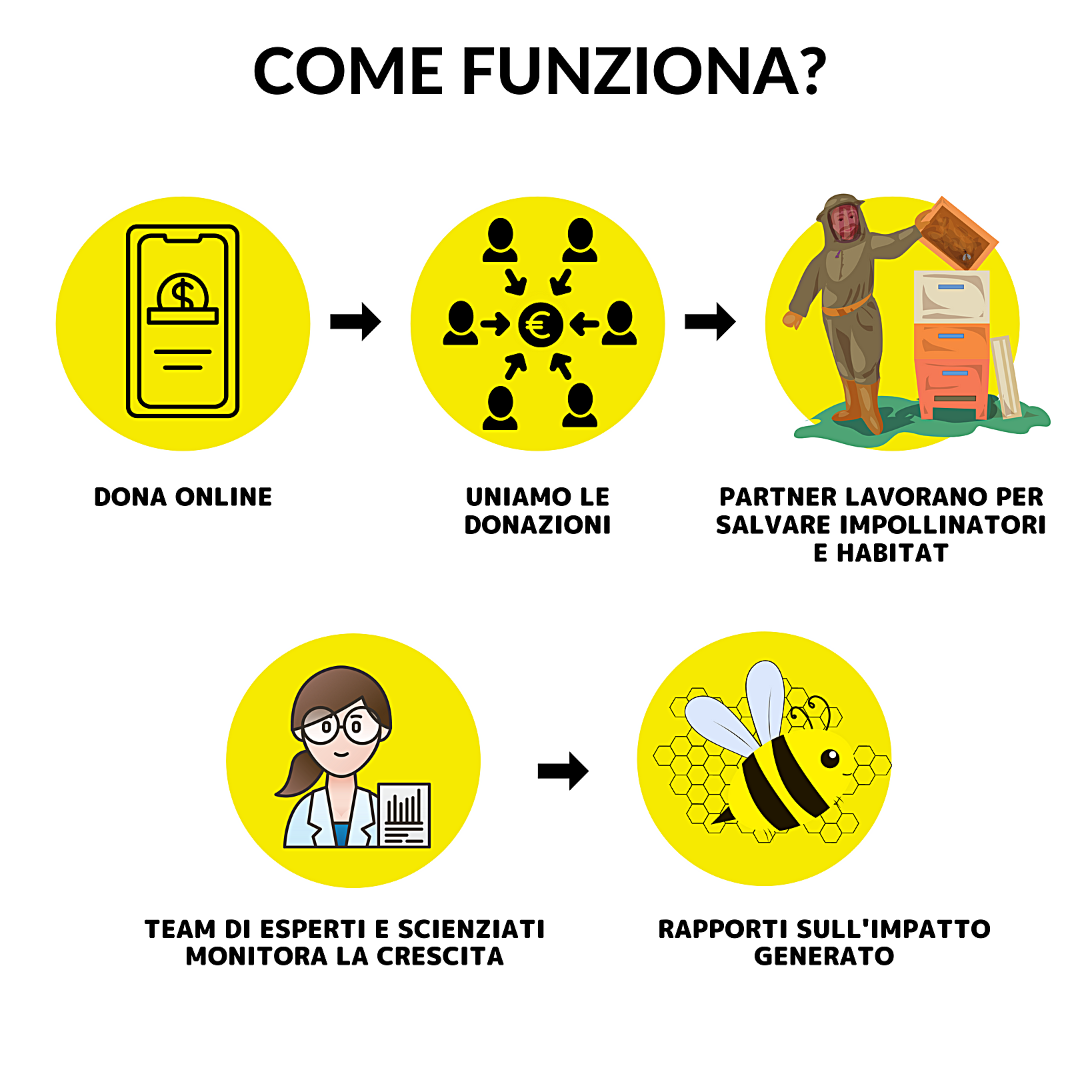 SilverSunflower Charm | Zilvere Ring