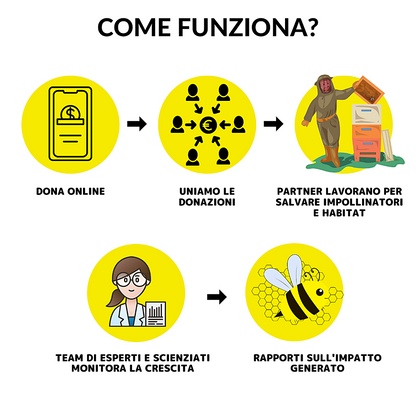 SilverSunflower Charm | Zilvere Ring