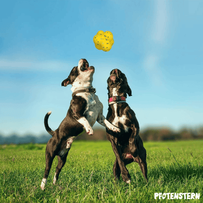 WoefWonder: Hondenspeelgoed Plezier 1+1 gratis