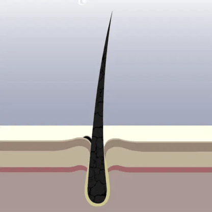 Veganic Haar Groei Boost Olie