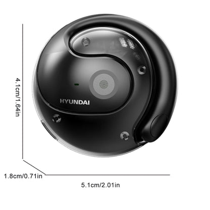 Realtime Vertaal Earbuds