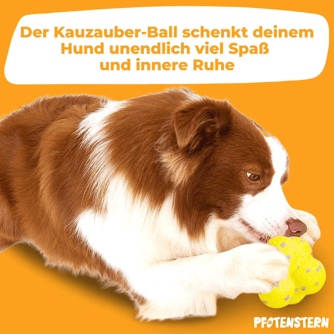 WoefWonder: Hondenspeelgoed Plezier 1+1 gratis