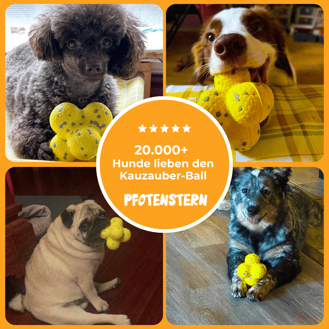 WoefWonder: Hondenspeelgoed Plezier 1+1 gratis