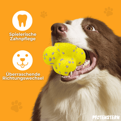 WoefWonder: Hondenspeelgoed Plezier 1+1 gratis