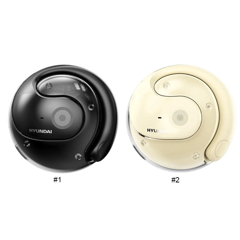 Realtime Vertaal Earbuds