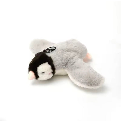 Fliegendes Katzenspielzeug Freude