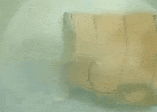 BioEnzym Vlekverwijdertabletten - 1+1 Gratis!